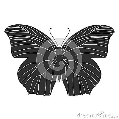 Butterfly stencil by hand drawing Vector Illustration